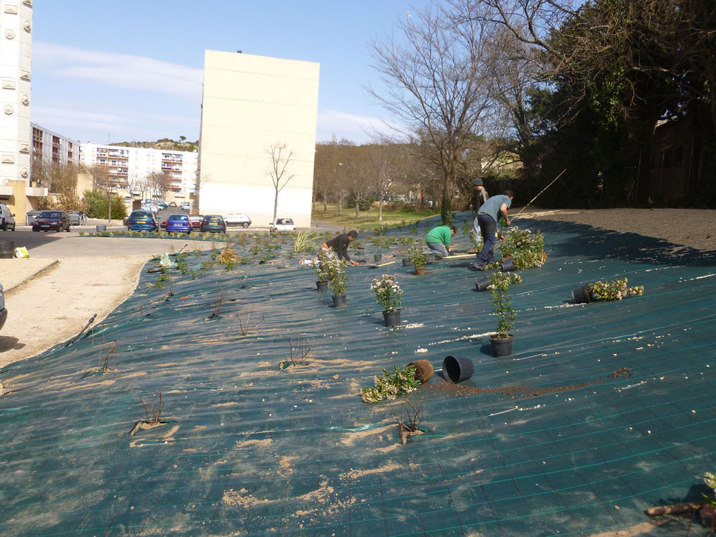 Aménagement d'un espace vert en ville à Salon de Provence     