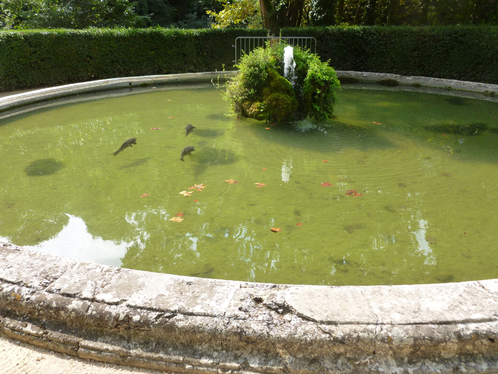 Entretien des bassins à poissons au château de la Barben 