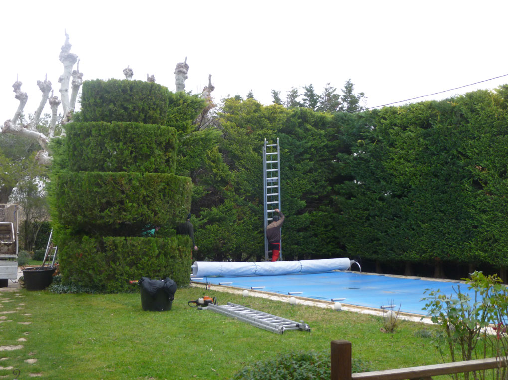 entretien de jardin à Salon de Provence 